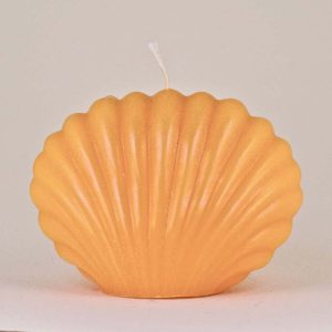 Shell Beewax Candle